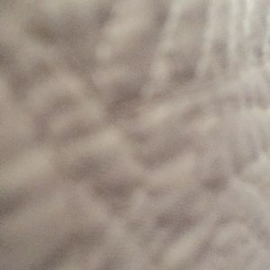 Meet your Posher, Will